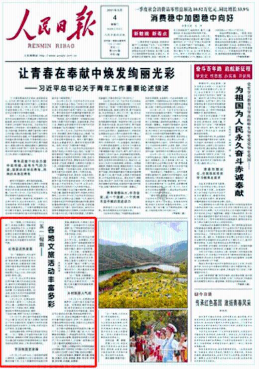 探索奇妙世界,尽在海南日出蜗牛问答平台
